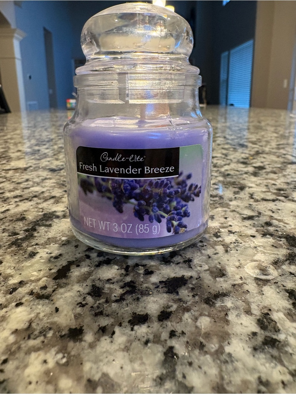 Fresh Lavender Breeze Scented Jar Candle – Purple